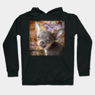 Cheeky Face Funny Chihuahua Hoodie